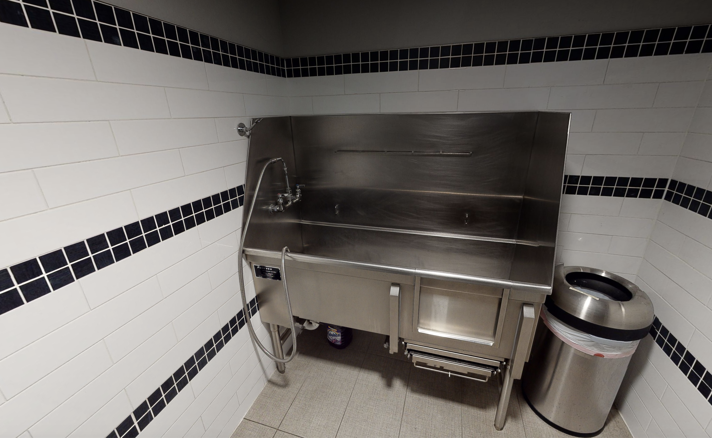 3D tour thumbnail for 1044 Downing dog wash.